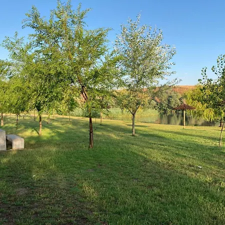 Museo Carmelitano شقة *