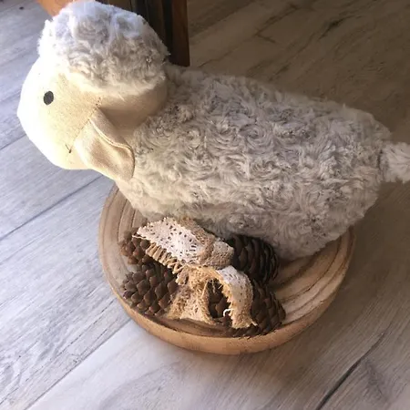 Museo Carmelitano شقة