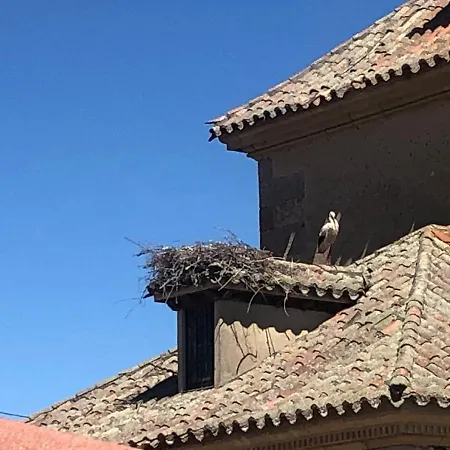 Museo Carmelitano * آلبا دي تورميس