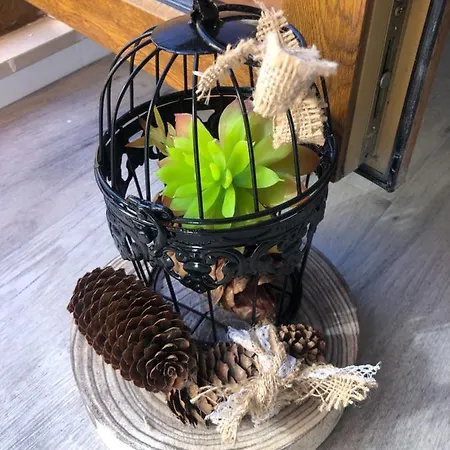 Museo Carmelitano شقة آلبا دي تورميس