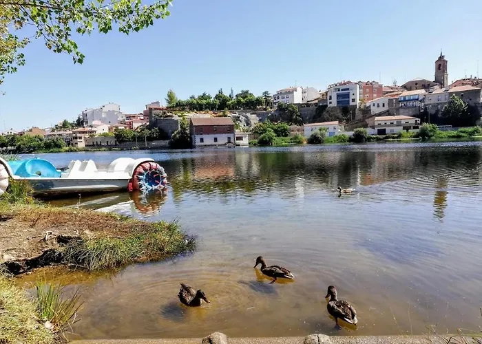 Museo Carmelitano 아파트 *