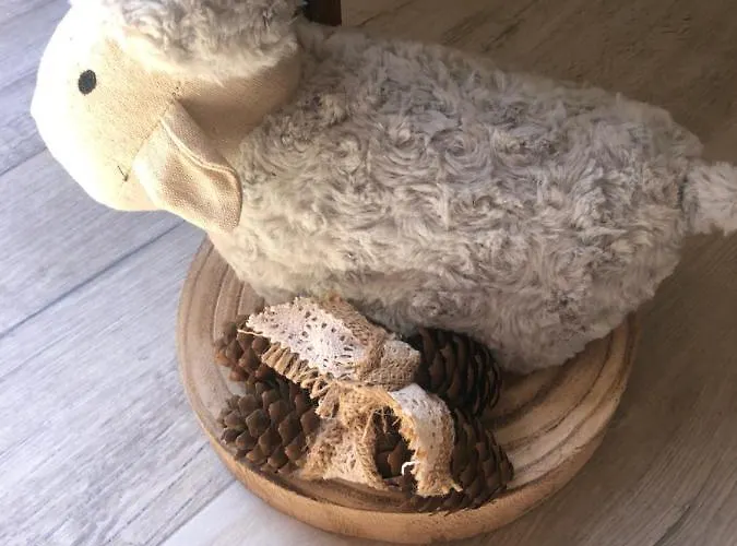 Museo Carmelitano 아파트