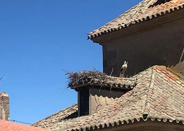 Museo Carmelitano * 알바데토르메스